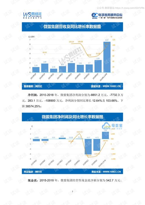2019年新上市17家電子商務公司數據報告精品報告.pdf