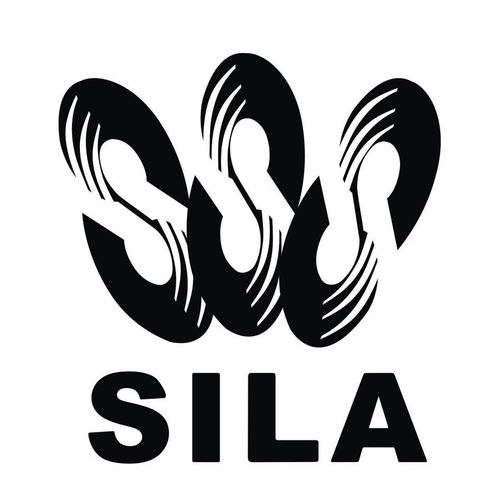 silla商標(biāo)注冊查詢 商標(biāo)進(jìn)度查詢 商標(biāo)注冊成功率查詢 路標(biāo)網(wǎng)